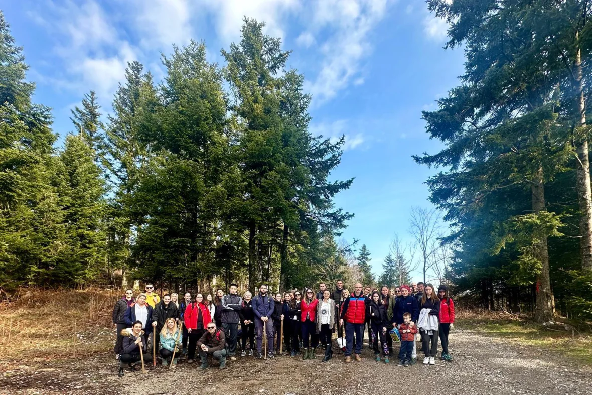 Orbico team activity
