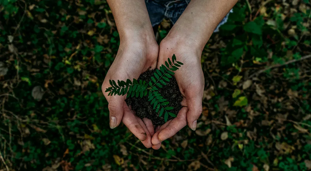 Two hands gently holding soil with a small green plant growing in it against a blurred natural background.